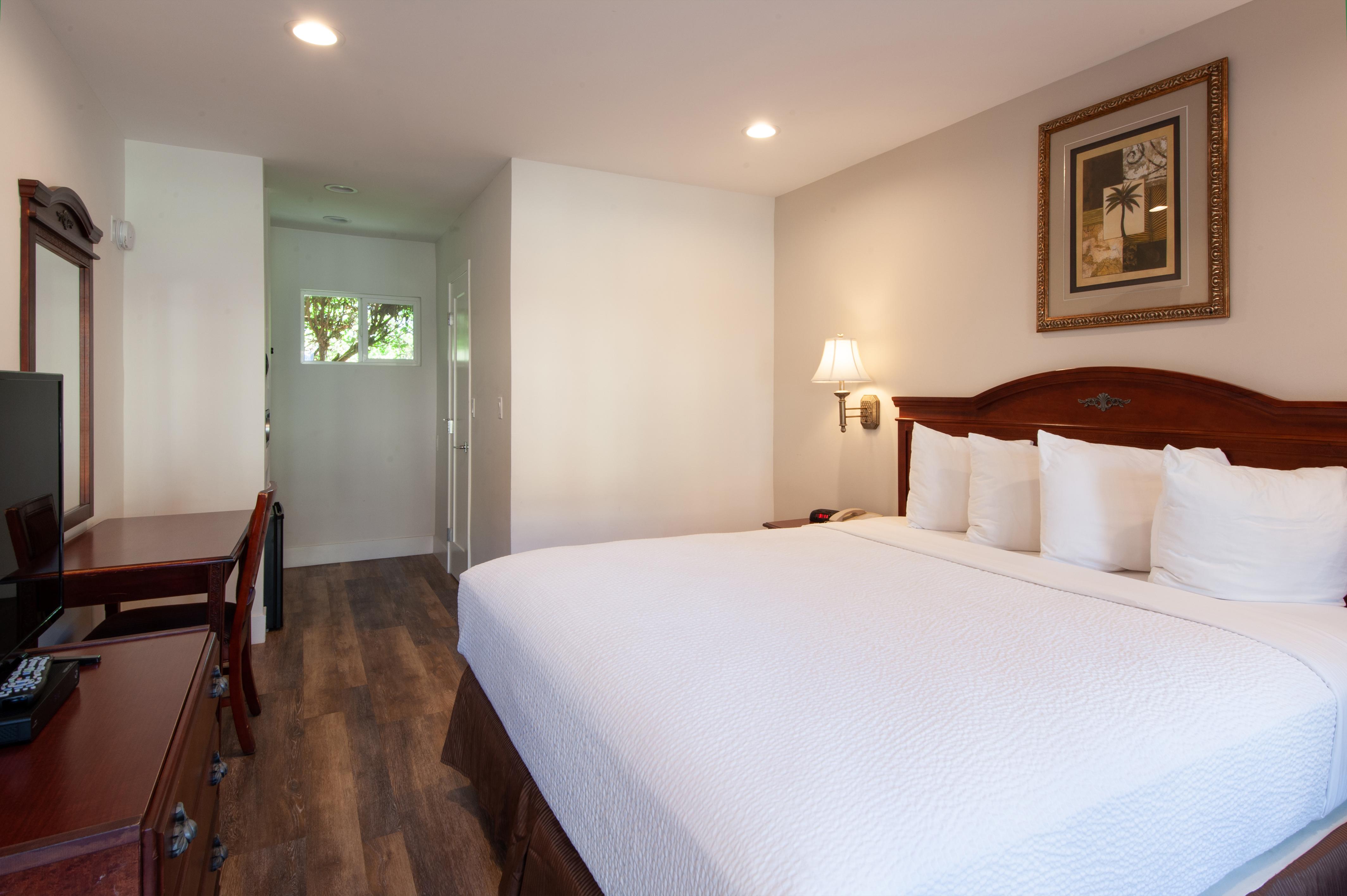 Studio City Court Yard Hotel Rom bilde